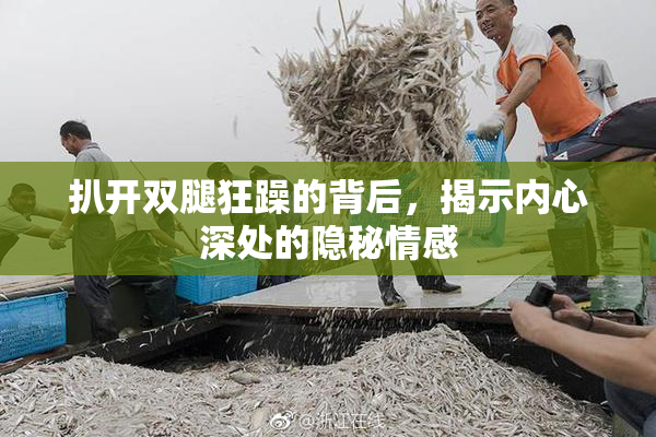 扒开双腿狂躁的背后，揭示内心深处的隐秘情感