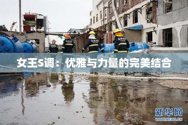 女王S调：优雅与力量的完美结合