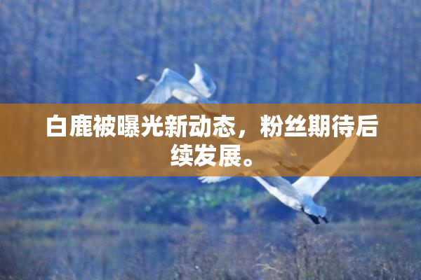 白鹿被曝光新动态，粉丝期待后续发展。