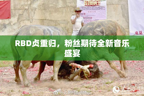 RBD贞重归，粉丝期待全新音乐盛宴