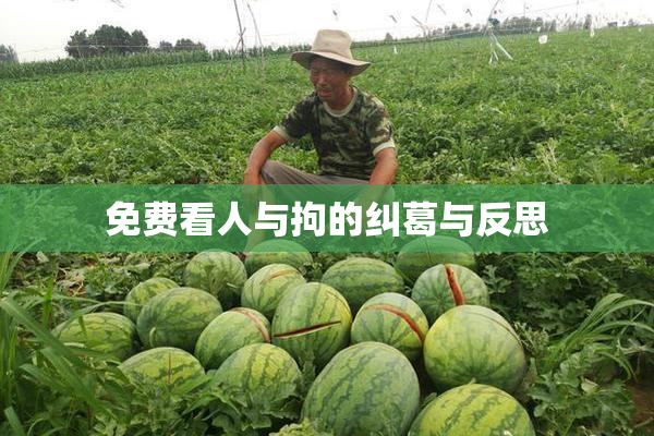 免费看人与拘的纠葛与反思