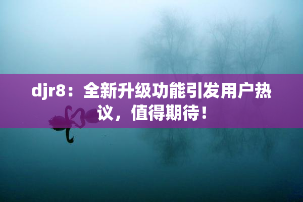 djr8：全新升级功能引发用户热议，值得期待！
