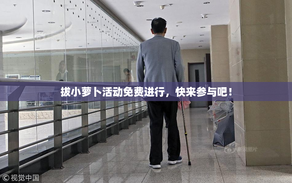 拔小萝卜活动免费进行，快来参与吧！
