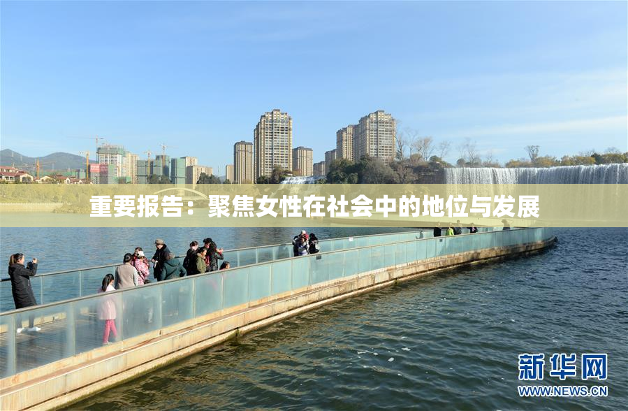 重要报告：聚焦女性在社会中的地位与发展