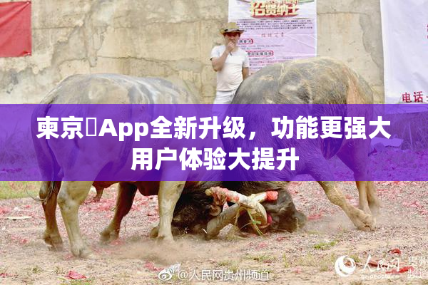 柬京埶App全新升级，功能更强大用户体验大提升