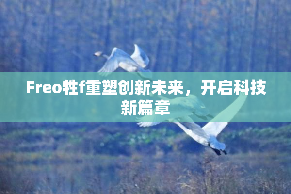 Freo牲f重塑创新未来，开启科技新篇章