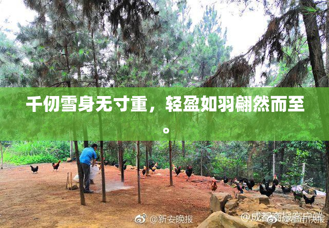 千仞雪身无寸重，轻盈如羽翩然而至。