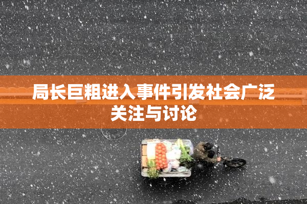局长巨粗进入事件引发社会广泛关注与讨论