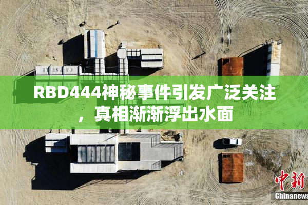 RBD444神秘事件引发广泛关注，真相渐渐浮出水面
