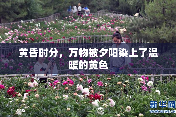 黄昏时分，万物被夕阳染上了温暖的黄色