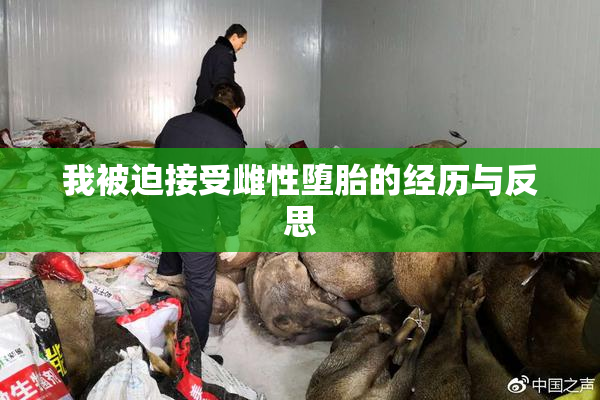 我被迫接受雌性堕胎的经历与反思