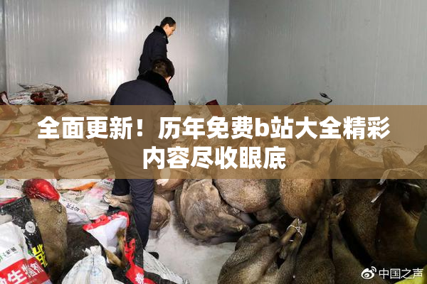 全面更新！历年免费b站大全精彩内容尽收眼底