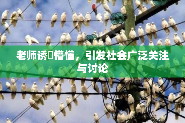 老师诱奷懵懂，引发社会广泛关注与讨论