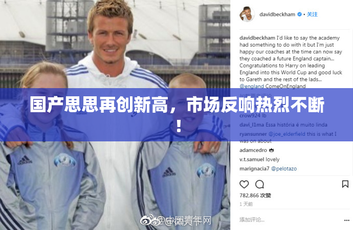 国产思思再创新高，市场反响热烈不断！