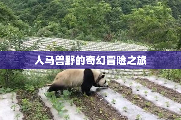 人马兽野的奇幻冒险之旅