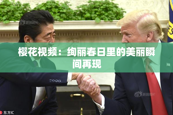 樱花视频：绚丽春日里的美丽瞬间再现
