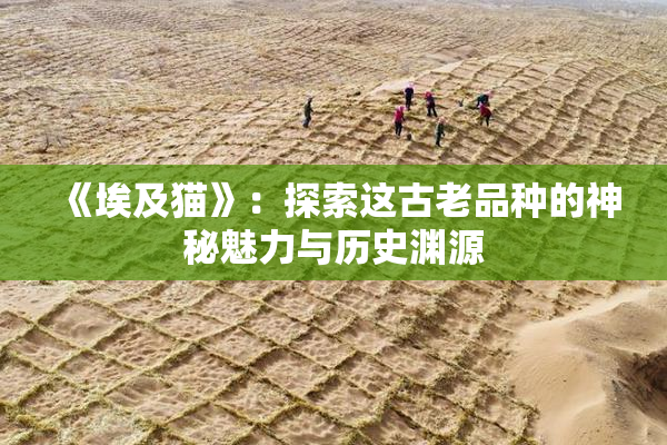 《埃及猫》：探索这古老品种的神秘魅力与历史渊源