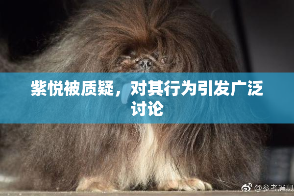 紫悦被质疑，对其行为引发广泛讨论