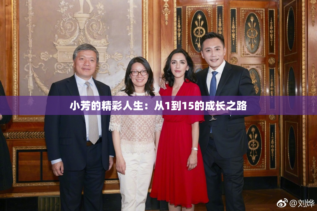 小芳的精彩人生：从1到15的成长之路