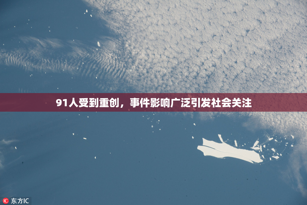 91人受到重创，事件影响广泛引发社会关注
