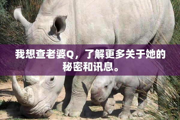 我想查老婆Q，了解更多关于她的秘密和讯息。