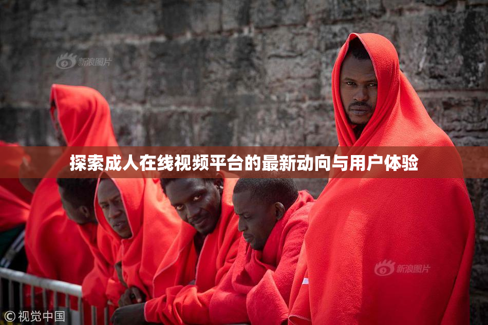 探索成人在线视频平台的最新动向与用户体验