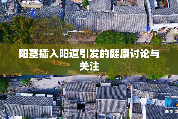 阳茎插入阳道引发的健康讨论与关注