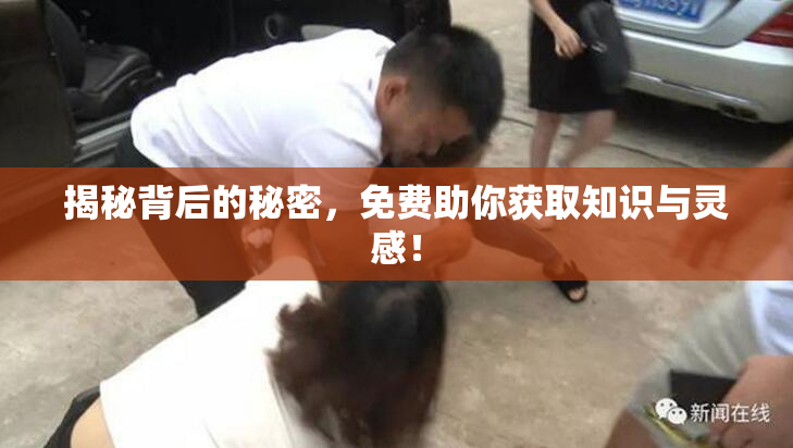 揭秘背后的秘密，免费助你获取知识与灵感！
