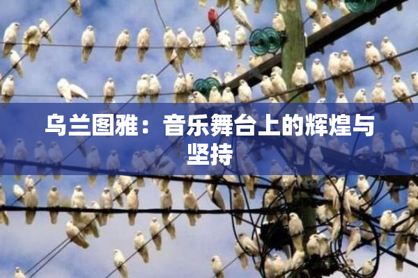 乌兰图雅：音乐舞台上的辉煌与坚持