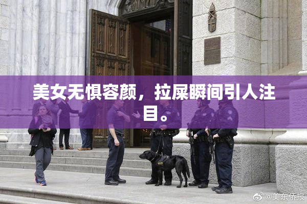 美女无惧容颜，拉屎瞬间引人注目。