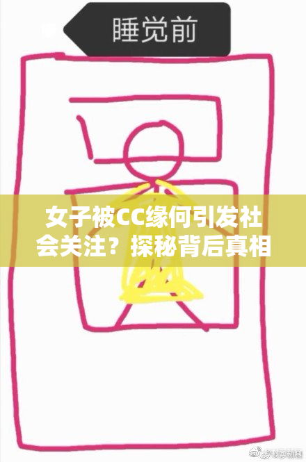 女子被CC缘何引发社会关注？探秘背后真相