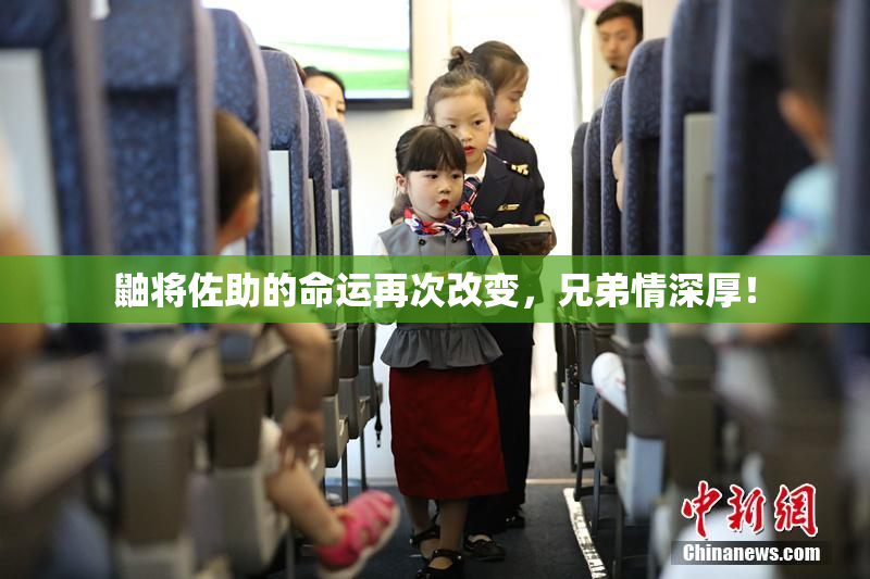 鼬将佐助的命运再次改变，兄弟情深厚！