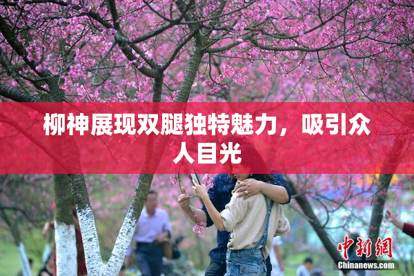 柳神展现双腿独特魅力，吸引众人目光