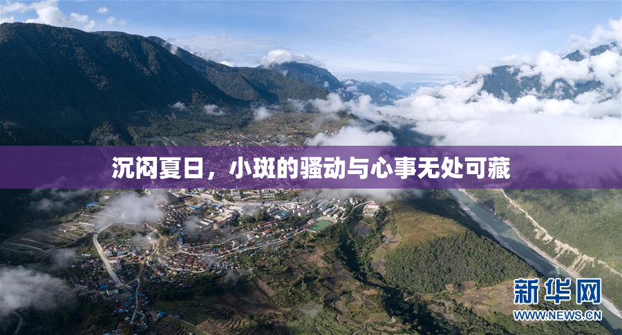 沉闷夏日，小斑的骚动与心事无处可藏