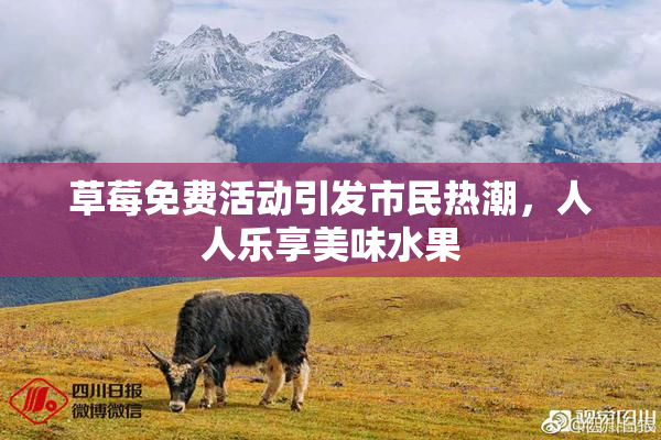 草莓免费活动引发市民热潮，人人乐享美味水果