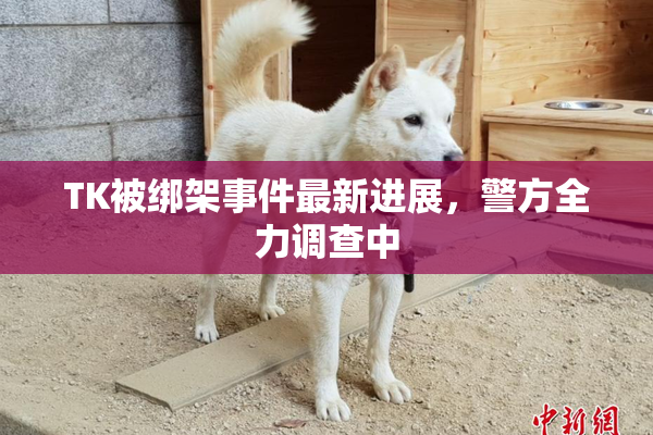 TK被绑架事件最新进展，警方全力调查中