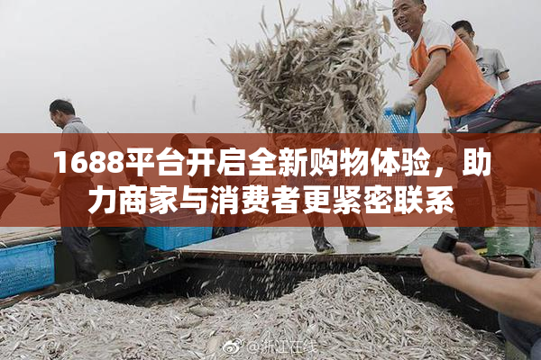 1688平台开启全新购物体验，助力商家与消费者更紧密联系