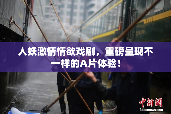 人妖激情情欲戏剧，重磅呈现不一样的A片体验！