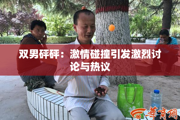 双男砰砰：激情碰撞引发激烈讨论与热议