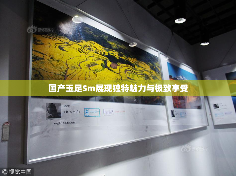 国产玉足Sm展现独特魅力与极致享受