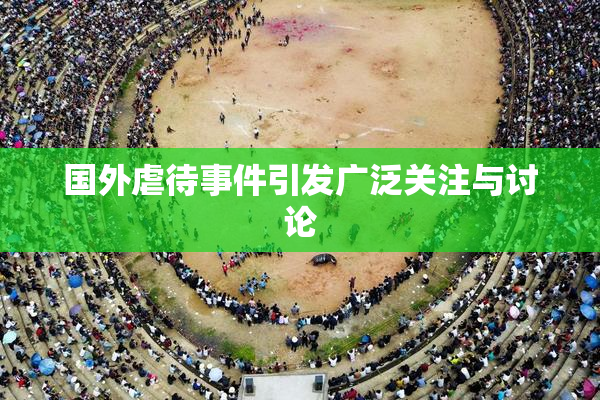 国外虐待事件引发广泛关注与讨论