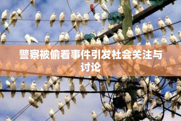 警察被偷看事件引发社会关注与讨论