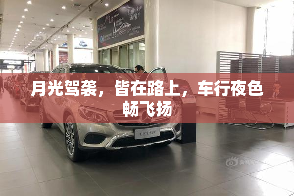 月光驾袭，皆在路上，车行夜色畅飞扬