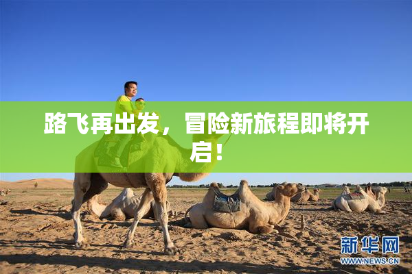 路飞再出发，冒险新旅程即将开启！