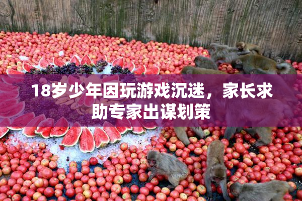 18岁少年因玩游戏沉迷，家长求助专家出谋划策