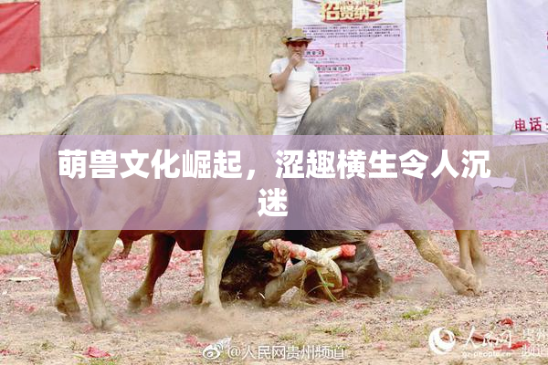 萌兽文化崛起，涩趣横生令人沉迷