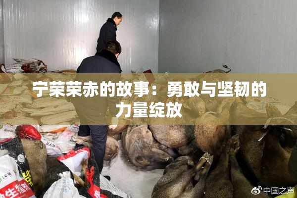 宁荣荣赤的故事：勇敢与坚韧的力量绽放