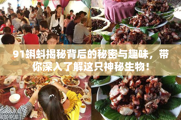 91蝌蚪揭秘背后的秘密与趣味，带你深入了解这只神秘生物！