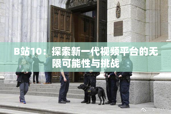 B站10：探索新一代视频平台的无限可能性与挑战