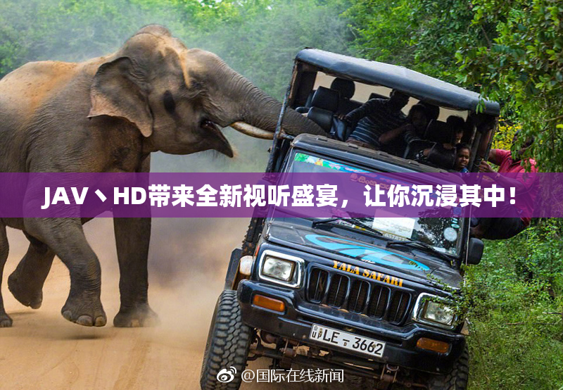 JAV丶HD带来全新视听盛宴，让你沉浸其中！